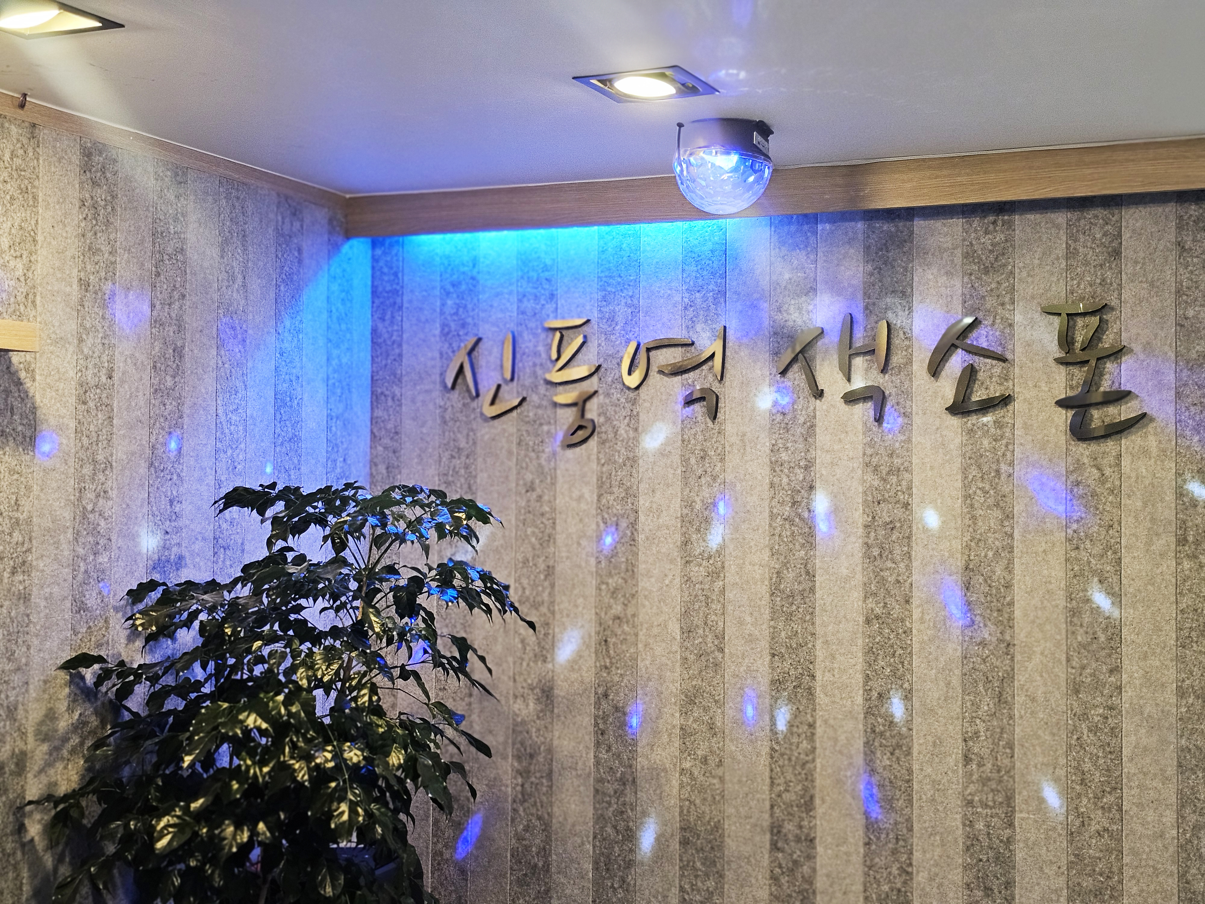 신풍역색소폰