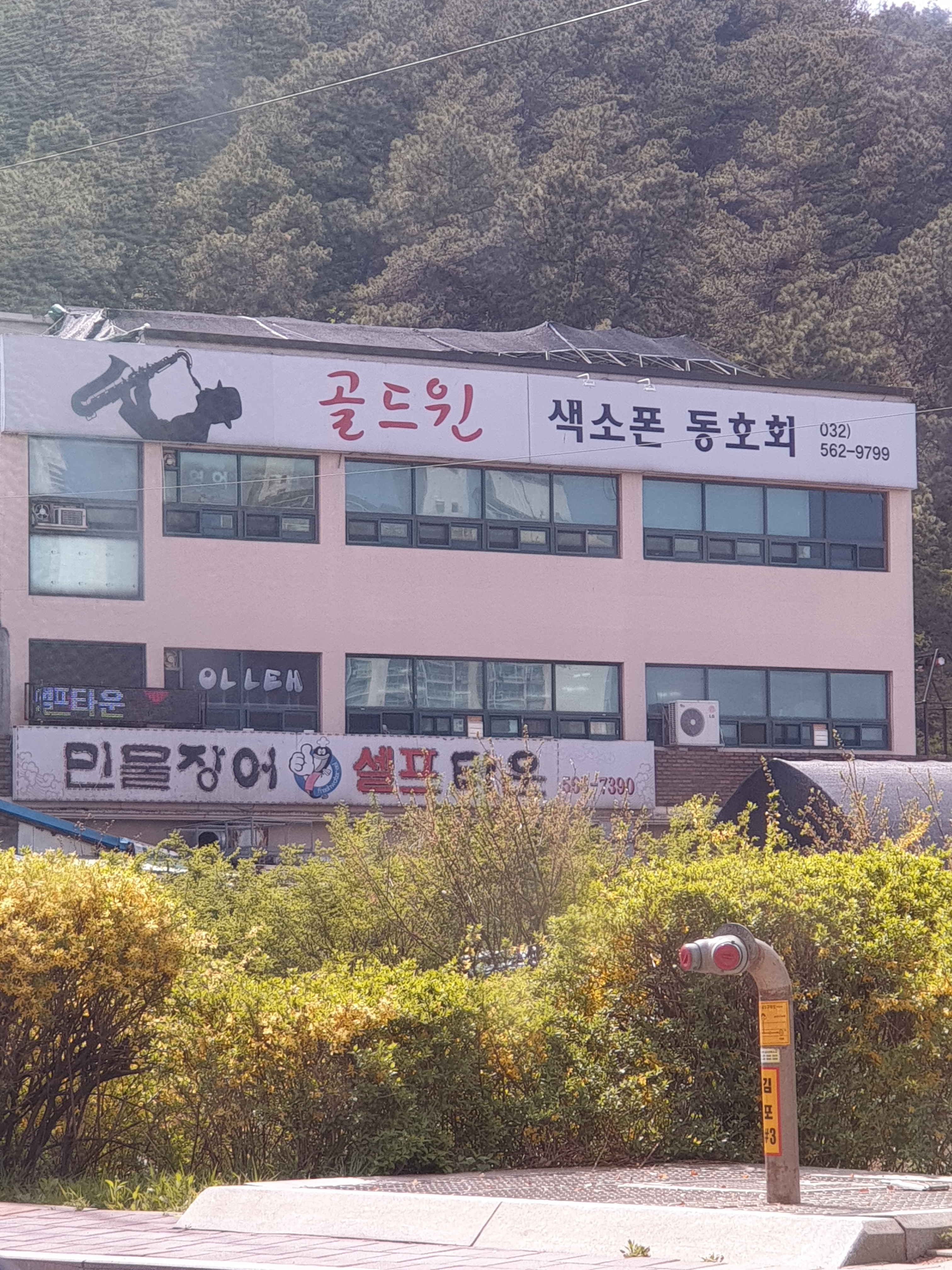 골드윈색소폰스튜디오