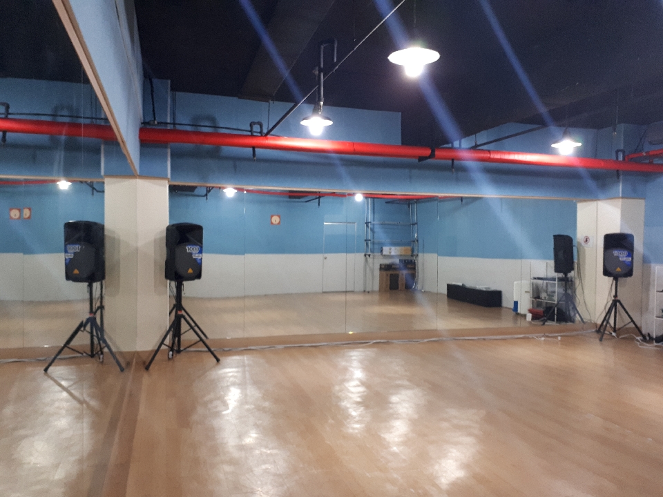 라이언하트 스튜디오