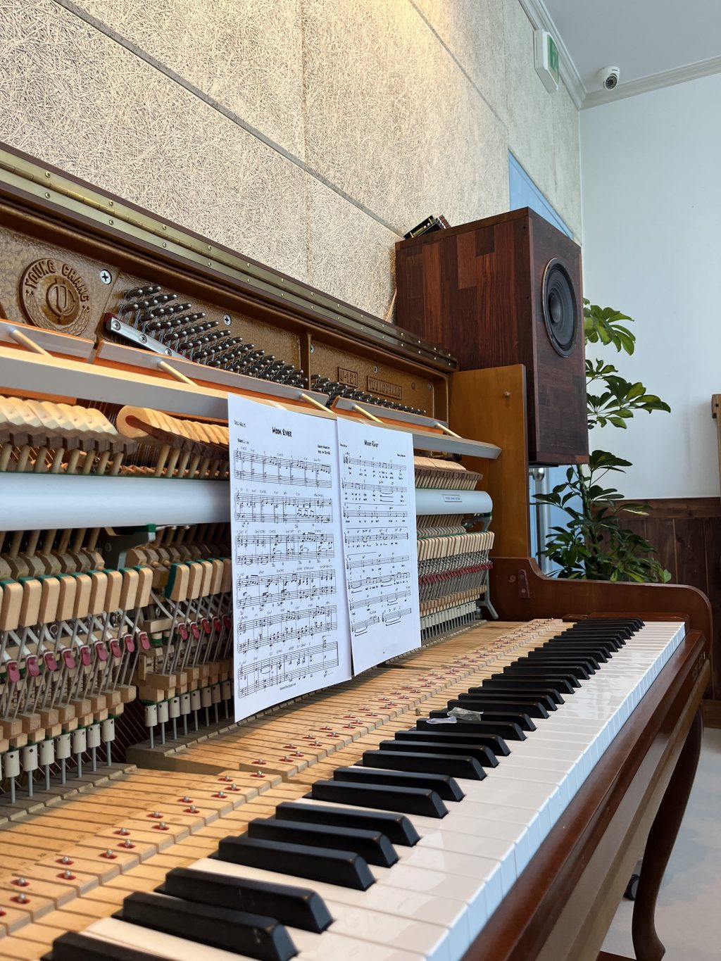 오드 재즈 스튜디오