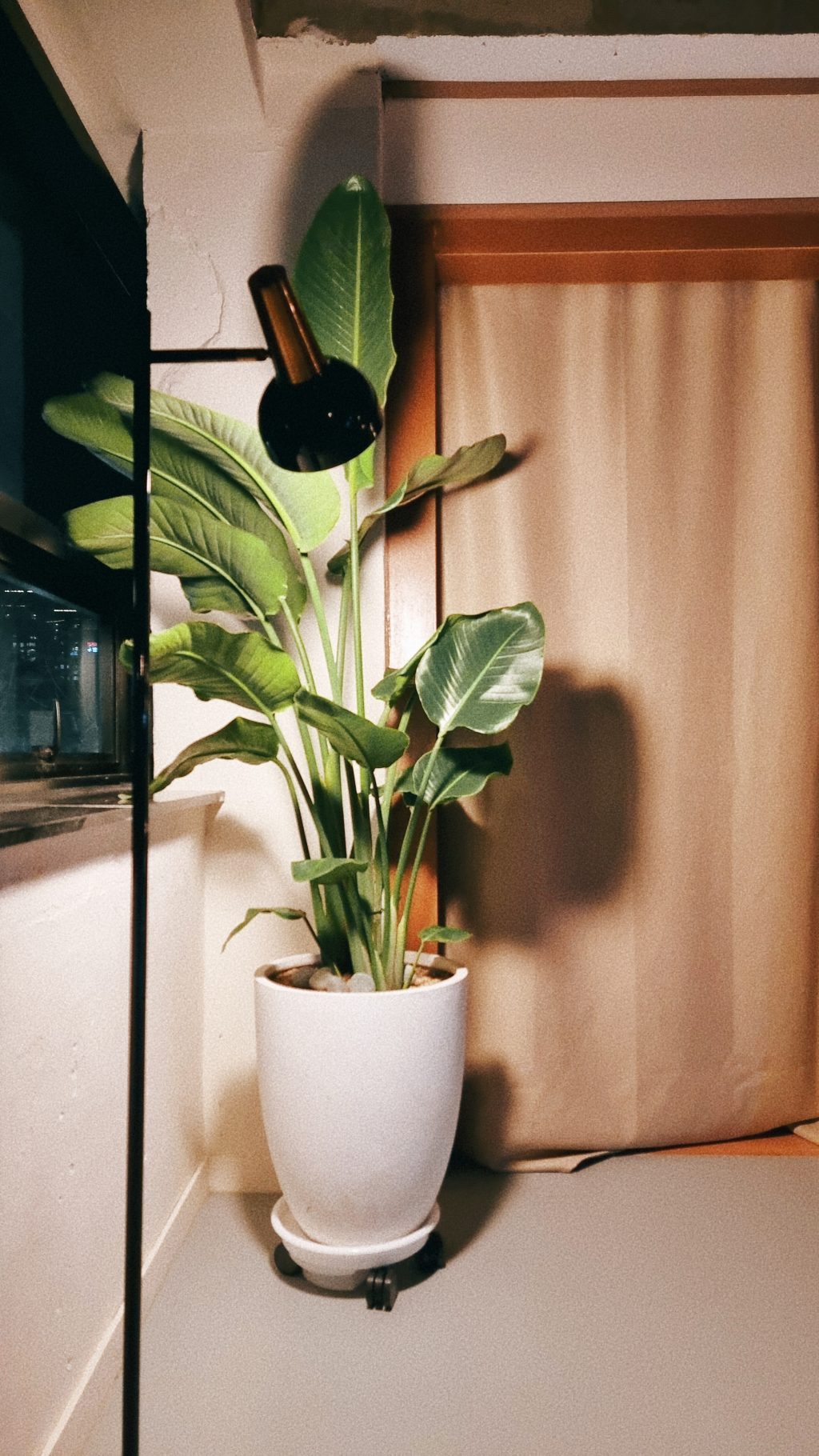 디퍼스플레이스