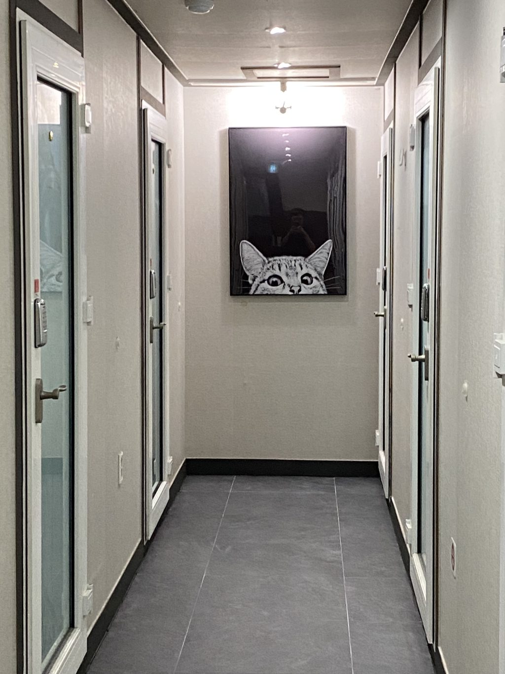 고양이 음악연습실 대구대명점 -  연습실