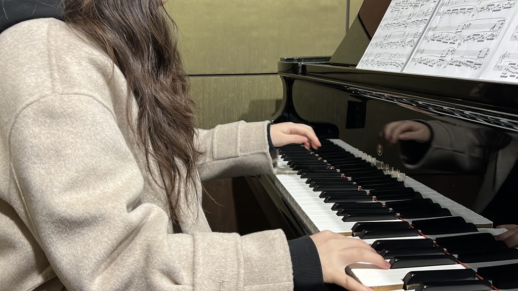 드레스덴 뮤직 스튜디오