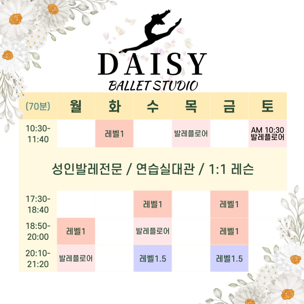 데이지 발레스튜디오