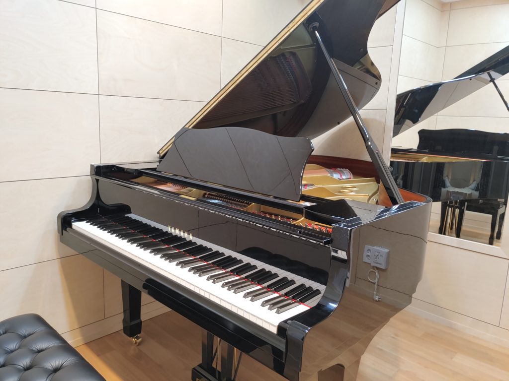 엘라피아노스튜디오