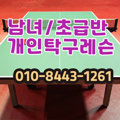 탁구연습장 탁구연습실